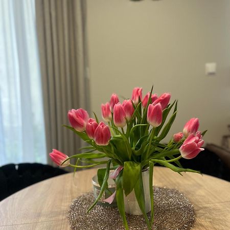 Apartament Kaszmirowy Bielsko-Biała Eksteriør billede