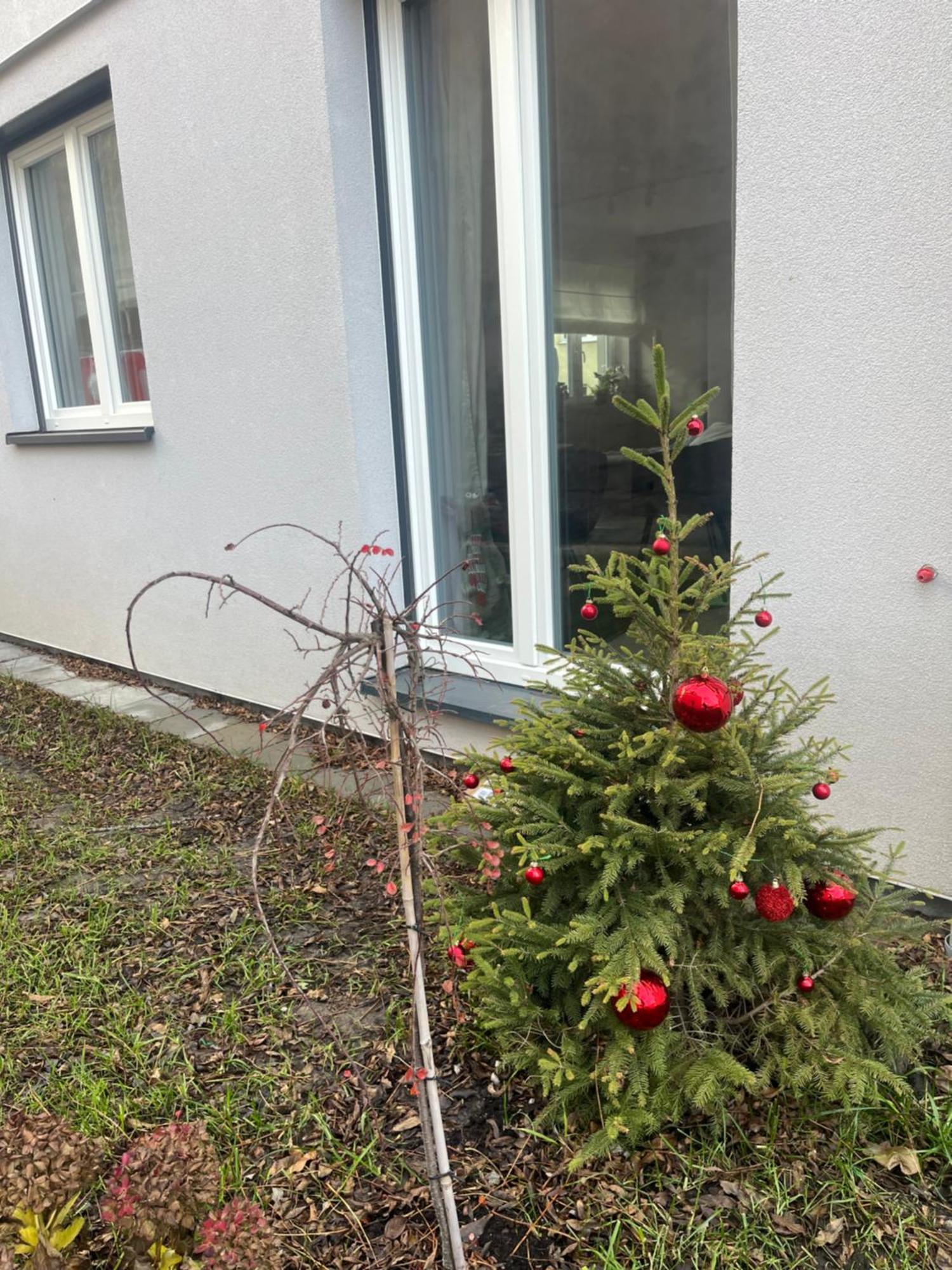 Apartament Kaszmirowy Bielsko-Biała Eksteriør billede