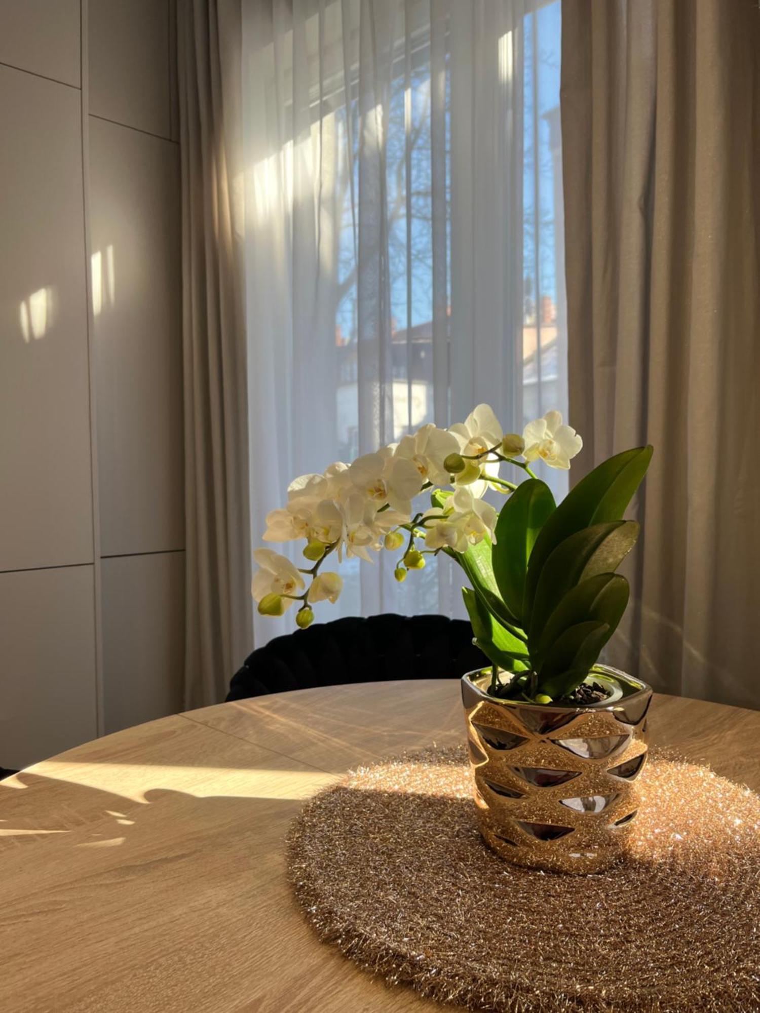 Apartament Kaszmirowy Bielsko-Biała Eksteriør billede